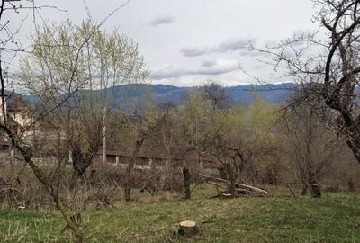 Spațiu comercial, în Mățău - 7