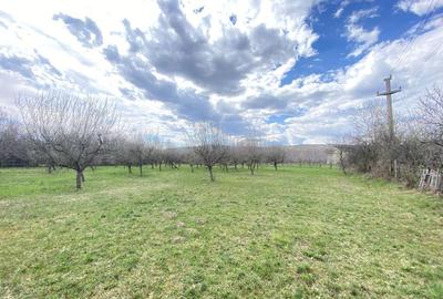 Spațiu comercial, în Berevoești - 2