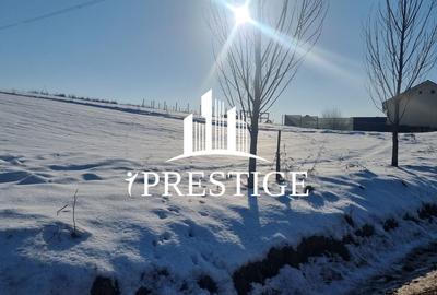 Teren agricol extravilan de 6695 mp, în Șura Mare - 4