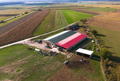 Teren agricol extravilan de 18000 mp, în Rotbav - 6