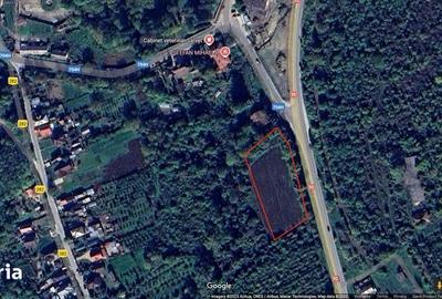 Teren de 5000 mp, în Merișani - 2