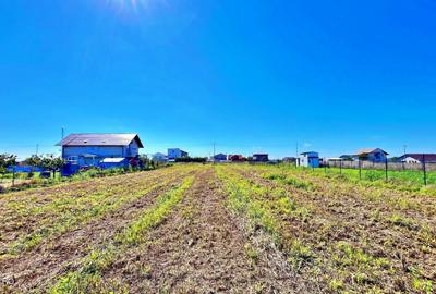 Teren Construcții intravilan de 963 mp, în Tuzla - 4