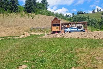 Proprietate de vanzare in Bucovina Breaza zona Paraul Negrei - 7