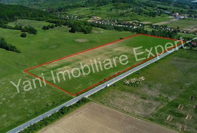 Teren de 69700 mp, în Tigveni - 5