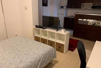 Garsonieră nedecomandată în Cișmigiu - 3