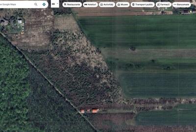 Teren de 4701 mp, în Snagov