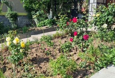 Casă cu 4 camere cu Teren 500 Mp în Central