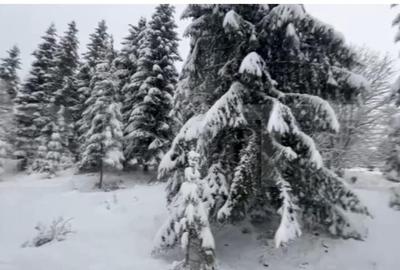 Teren 10,75 ari, intravilan Colibita, cu utilitati - 2