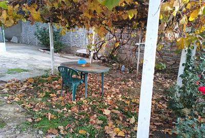 Casă cu 3 camere în Central