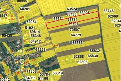 Spațiu comercial, în Dimieni - 10