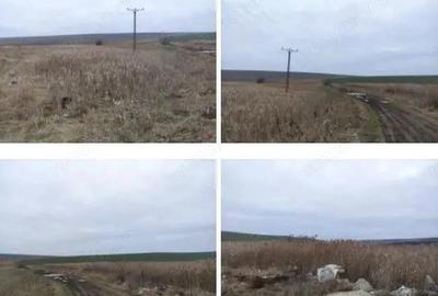 Teren extravilan cota parte 1/3, Rediu, ID: R2642185 - 1