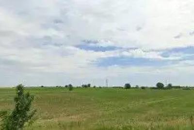 Teren extravilan Pogoanele, ID: R2586845 - 2