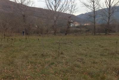 Teren langa apa 2230mp MEHADIA - 2