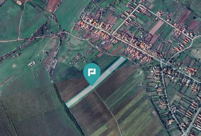 TEREN REMETEA MICĂ, JUDEȚUL TIMIȘ - 3