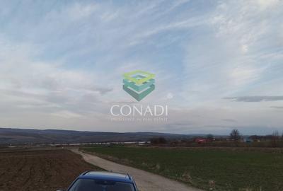 Teren Construcții intravilan de 33500 mp, în Măieruș - 15