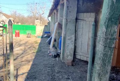 Teren de 1000 mp, în Pădureni