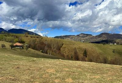 Teren Construcții extravilan de 1550 mp, în Moieciu - 2