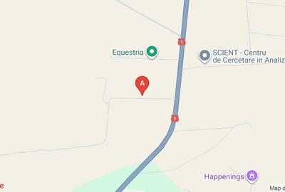 Vinzare TerenTincabesti linga Equestria - 1