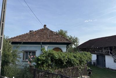 Casă cu 5 camere cu Teren 1754 Mp în Mălureni - 7