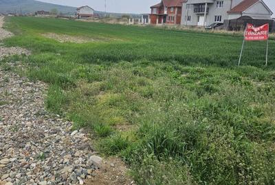 Spațiu comercial, în Rontău - 4