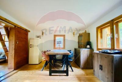 Casa de vacanta la munte de vanzare - 1