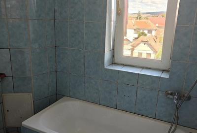 Garsonieră nedecomandată în Terezian - 2
