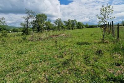Teren Construcții extravilan de 3400 mp, în Josenii Bârgăului - 2