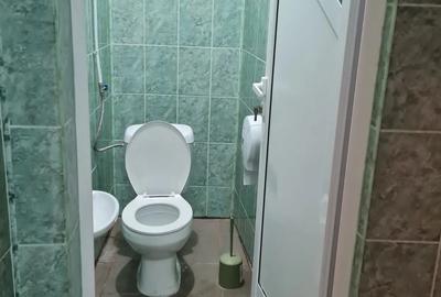 Spatiu comercial Valea Lupului Spatiu comercial Valea Lupului - 4