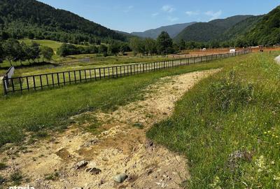 Spațiu comercial, în Plaiul Foii - 1