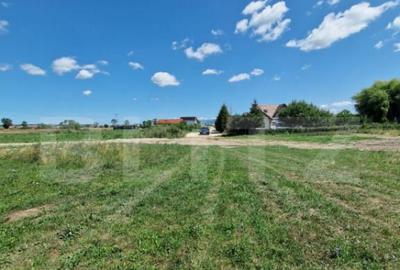 Teren 6300mp-Oportunitate investitie,zona in dezvoltare Teren 6300mp-Oportunitate investitie,zona in dezvoltare - 1