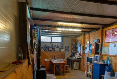 Spațiu industrial, de 650 mp, în Ribița - 9