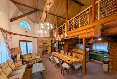 Cabana / Casa de vacanta pe Transfagarasan - Sibiu - 3