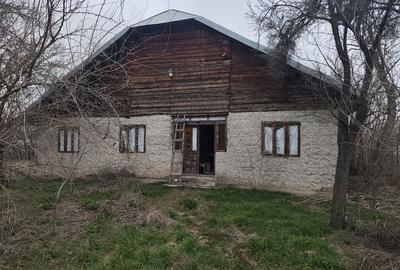 Casă cu 4 camere cu Teren 1700 Mp în Băbăița - 15