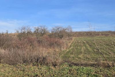 Spațiu comercial, în Rădăcinești - 6