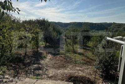 Casă cu 4 camere cu Teren 3400 Mp în Central - 7