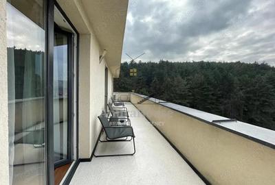 Apartament 2 camere de inchiriat, 47 mp cu terasa 21 mp, str Razoare Vivo - 17