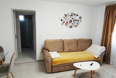 Moldova Noua - Apartament Premium 2 camere - 3