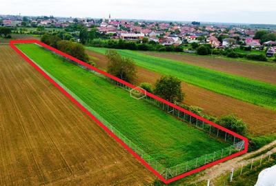Teren agricol extravilan de 3600 mp, în Est - 7