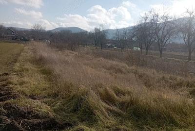 Teren de 2000 mp, în Brănișca - 1