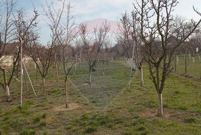 Spațiu comercial, în Vladimirescu - 5