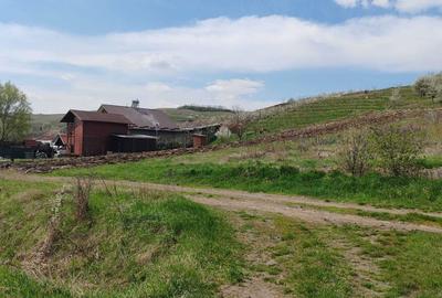 Spațiu comercial, în Gădălin - 2