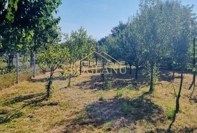 Teren intravilan de 2822 mp, în Șagului - 4