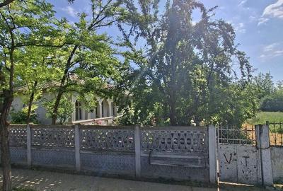 Casă cu Teren 2600 Mp în Movila Miresii
