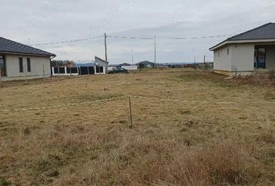 Teren de 800 mp, în Alparea - 4