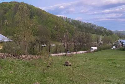Teren de 2252 mp, în Vișinești - 3