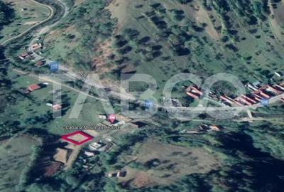 Teren intravilan cu utilitati 415 mp Rau Sadului Sibiu - 2