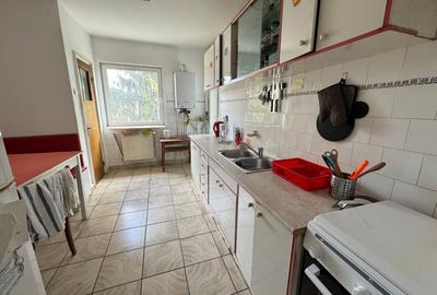 Apartament cu 4 camere decomandat, mobilat în Plopilor - 6