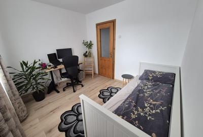 Apartament cu 3 camere semidecomandat, mobilat în Brazda lui Novac - 5