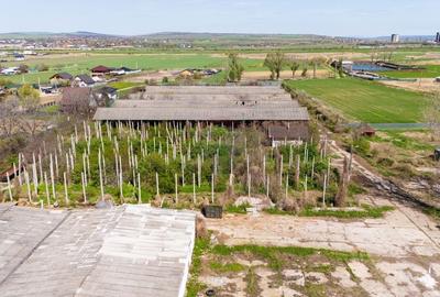 Teren Construcții intravilan de 29790 mp, în Tomești - 10