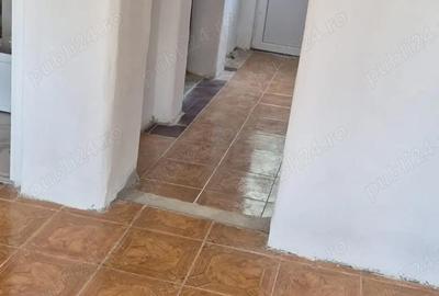 Casă cu 6 camere în Văliug - 19